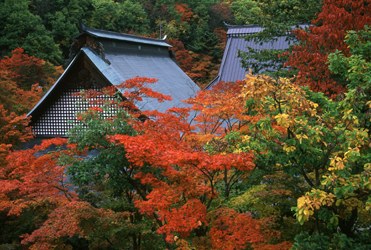 『山寺の秋』/平林 良一