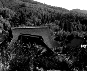 『追憶の霊松寺』／平瀬 貴志